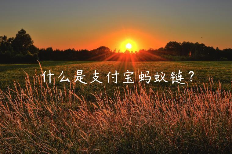 什么是支付宝蚂蚁链？