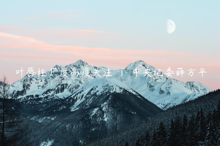 叶唇柱广度高度关注 | 中央纪委薛方平