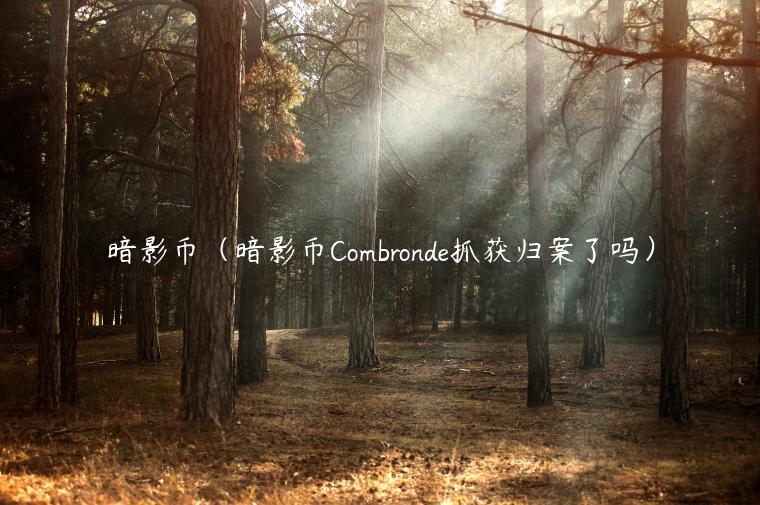 暗影币（暗影币Combronde抓获归案了吗）