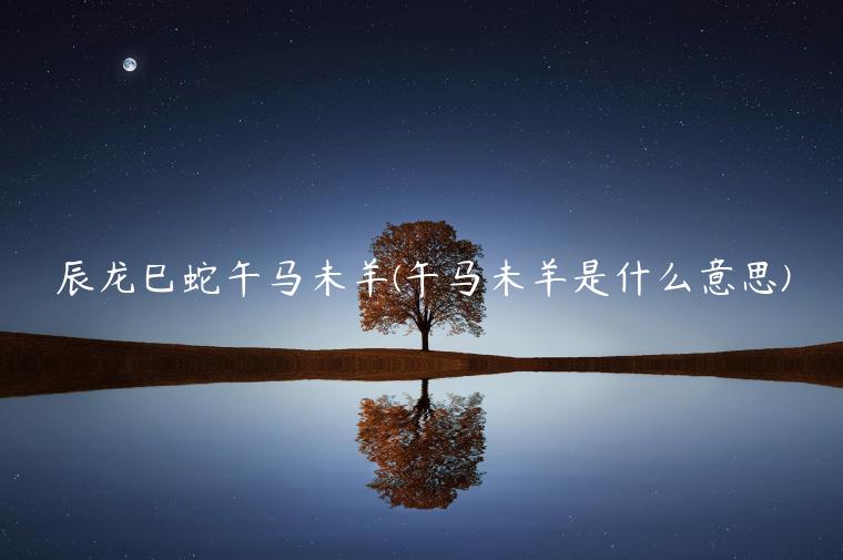 辰龙巳蛇午马未羊(午马未羊是什么意思)