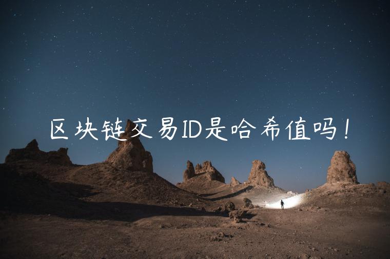 区块链交易ID是哈希值吗！