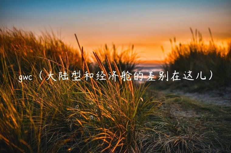 gwc（大陆型和经济舱的差别在这儿）