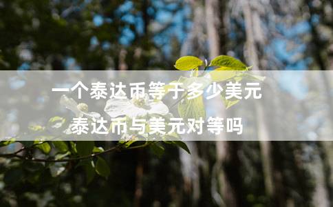 一个泰达币等于多少美元（泰达币与美元对等吗）