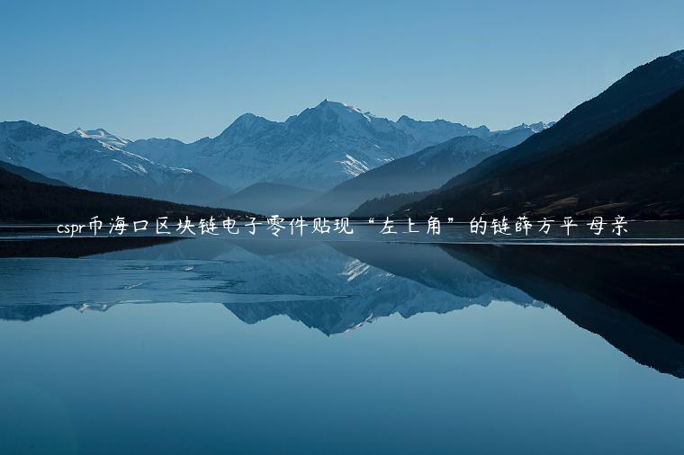 cspr币海口区块链电子零件贴现“左上角”的链薛方平 母亲