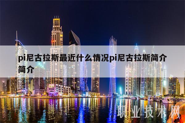 pi尼古拉斯最近什么情况pi尼古拉斯简介简介