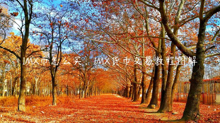 IMX币怎么买，IMX货币交易教程图解