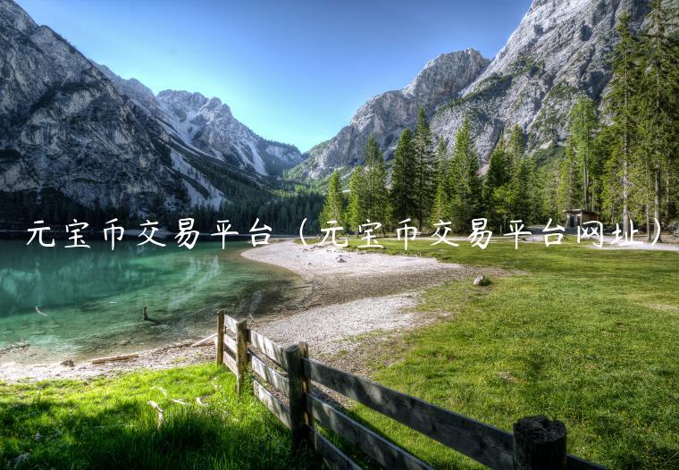元宝币交易平台（元宝币交易平台网址）
