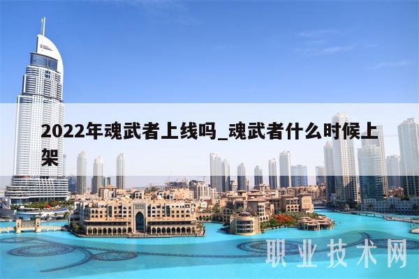 2022年魂武者上线吗_魂武者什么时候上架