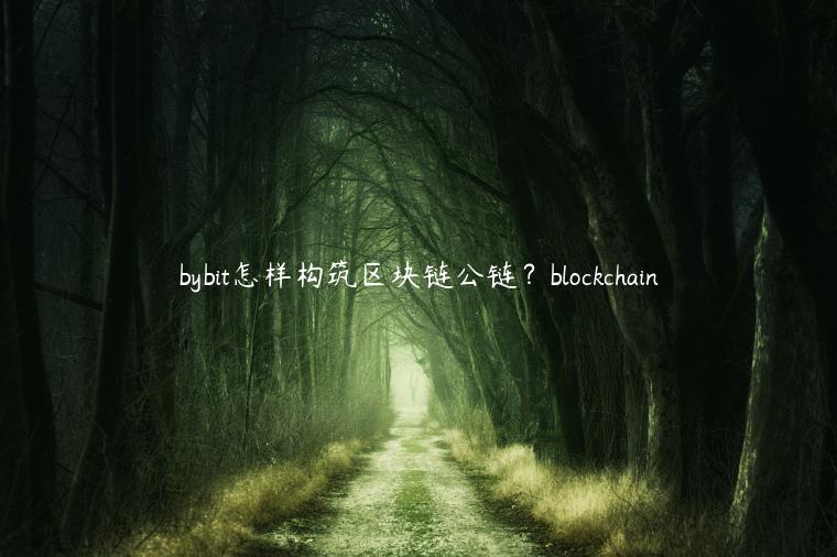 bybit怎样构筑区块链公链？blockchain