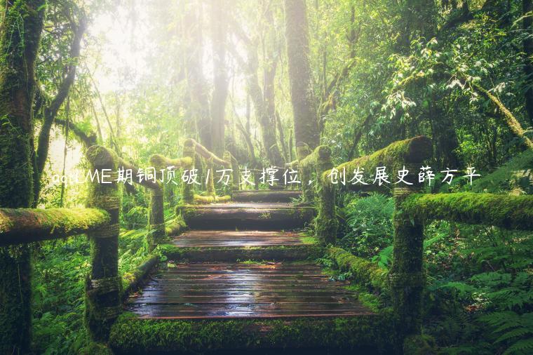 aqtLME期铜顶破1万支撑位，创发展史薛方平