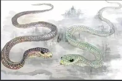 属蛇的命苦吗(属蛇人都是什么命)