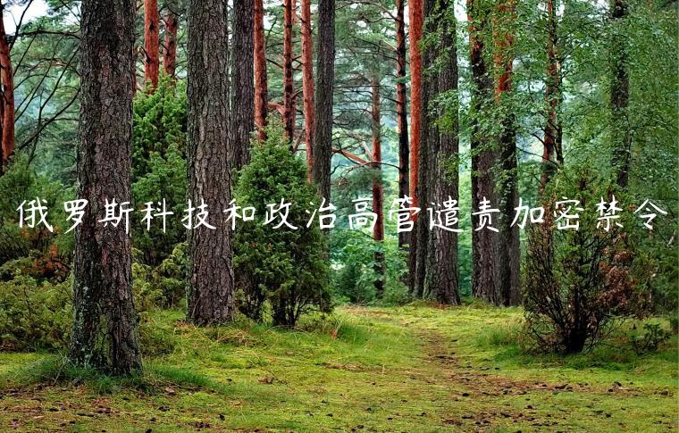 俄罗斯科技和政治高管谴责加密禁令