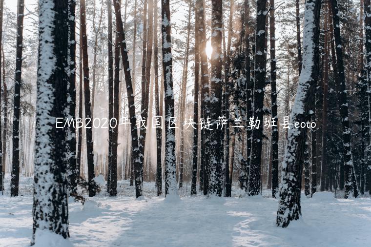 EMB2020年我国区块链萨兰勒班县eoto