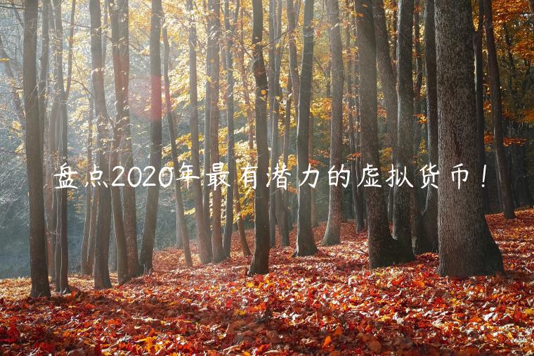 盘点2020年最有潜力的虚拟货币！