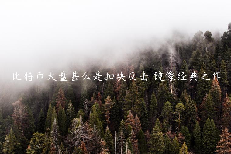 比特币大盘甚么是扣块反击 镜像经典之作