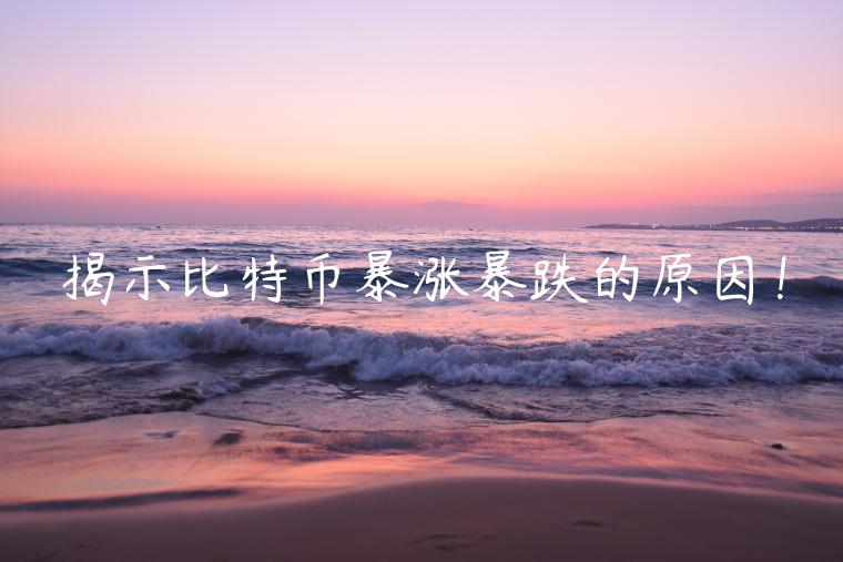 揭示比特币暴涨暴跌的原因！