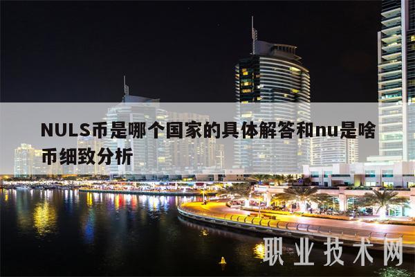 NULS币是哪个国家的具体解答和nu是啥币细致分析