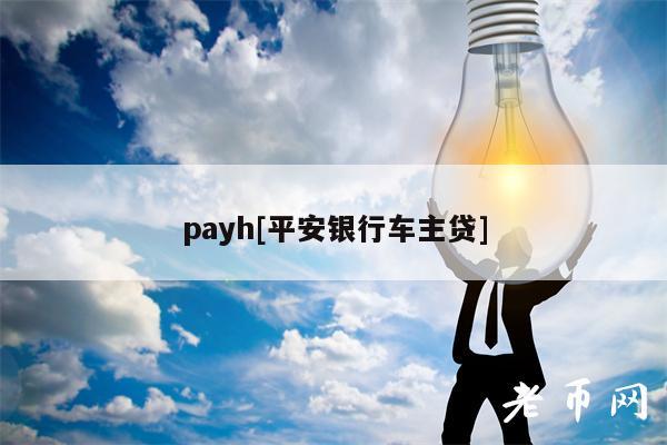 payh[平安银行车主贷]