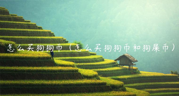 怎么买狗狗币（怎么买狗狗币和狗屎币）