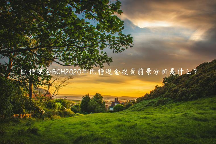 比特现金BCH2020年比特现金投资前景分析是什么？