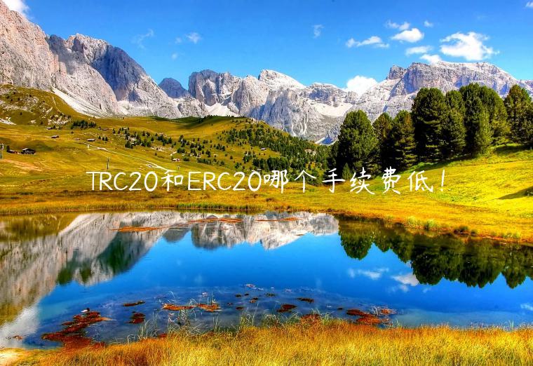 TRC20和ERC20哪个手续费低！