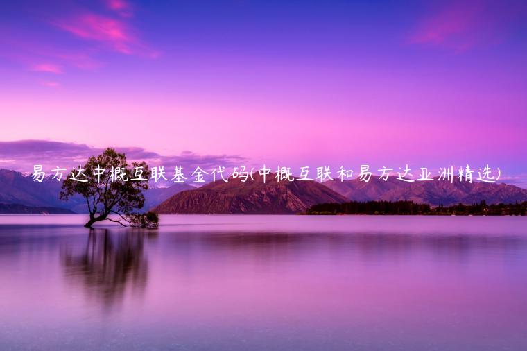 易方达中概互联基金代码(中概互联和易方达亚洲精选)