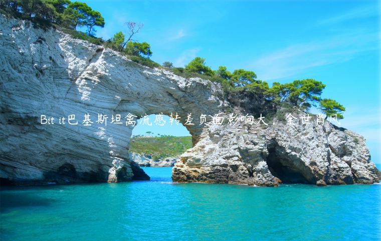 Bit it巴基斯坦禽流感转差负面影响大，全世肖风