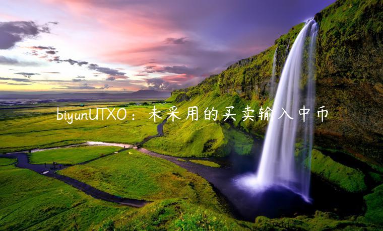 biyunUTXO：未采用的买卖输入中币