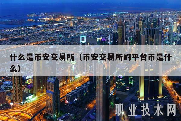 什么是币安交易所（币安交易所的平台币是什么）