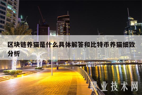 区块链养猫是什么具体解答和比特币养猫细致分析