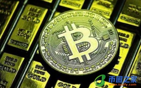 维卡币周报都说了些什么(关于维卡币的消息)