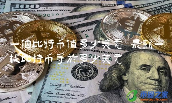 最新一枚比特币等于多少美元