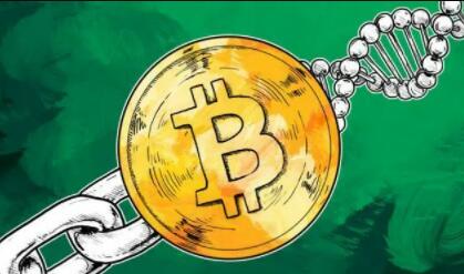 今天比特币价格是多少(今天比特币的价钱是多少)