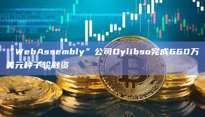 “WebAssembly”公司Dylibso完成660万美元种子轮融资