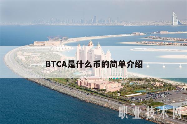 BTCA是什么币的简单介绍
