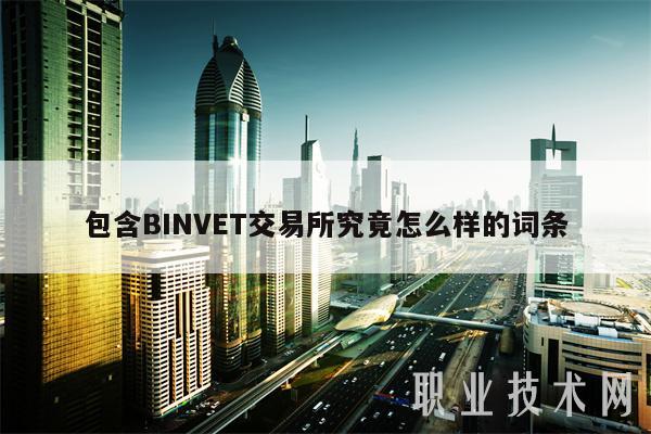 包含BINVET交易所究竟怎么样的词条