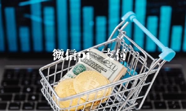 微信pi币支付