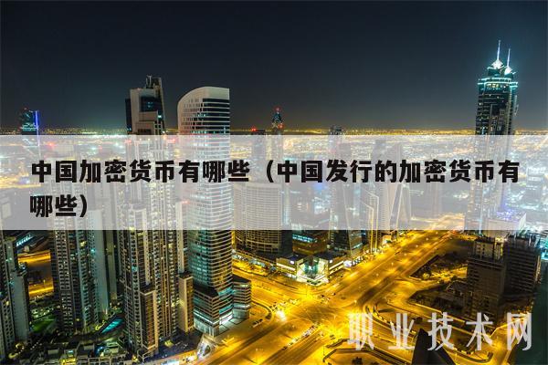 中国加密货币有哪些（中国发行的加密货币有哪些）