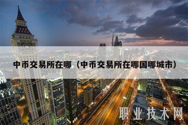 中币交易所在哪（中币交易所在哪国哪城市）