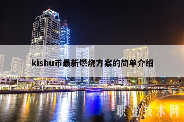 kishu币最新燃烧方案的简单介绍