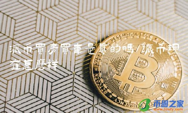 派币买房买车是真的吗