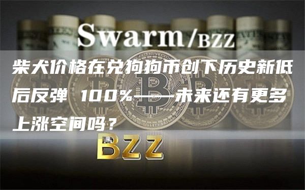 柴犬价格在兑狗狗币创下历史新低后反弹 100%——未来还有更多上涨空间吗？