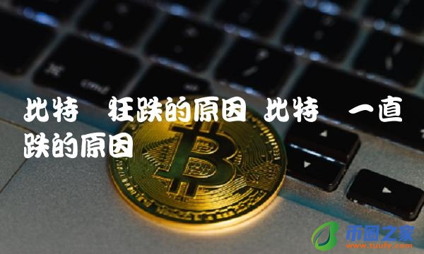 比特币一直跌的原因