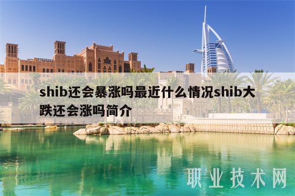 shib还会暴涨吗最近什么情况shib大跌还会涨吗简介