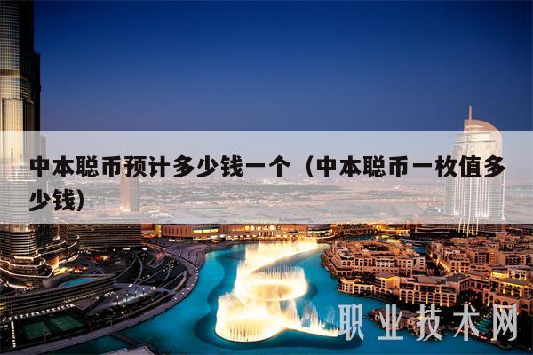 中本聪币预计多少钱一个（中本聪币一枚值多少钱）