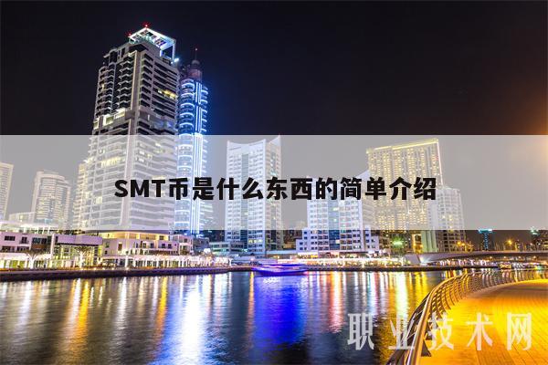 SMT币是什么东西的简单介绍