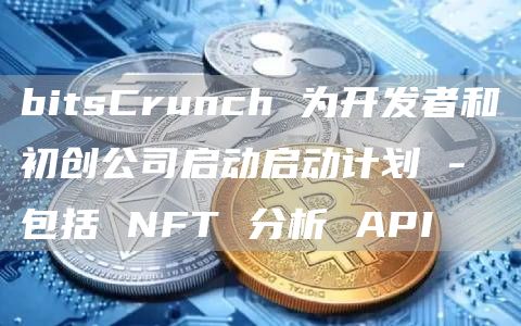 bitsCrunch 为开发者和初创公司启动启动计划 – 包括 NFT 分析 API