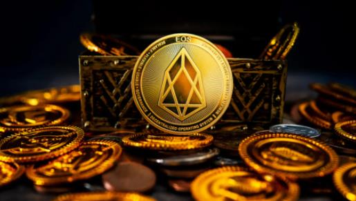 柚子币中文版下载地址_柚子币交易所最新版下载