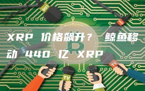 XRP 价格飙升？ 鲸鱼移动 440 亿 XRP
