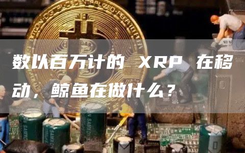 数以百万计的 XRP 在移动，鲸鱼在做什么？